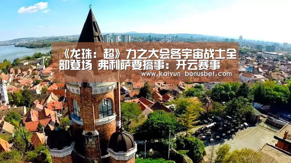 开云网站